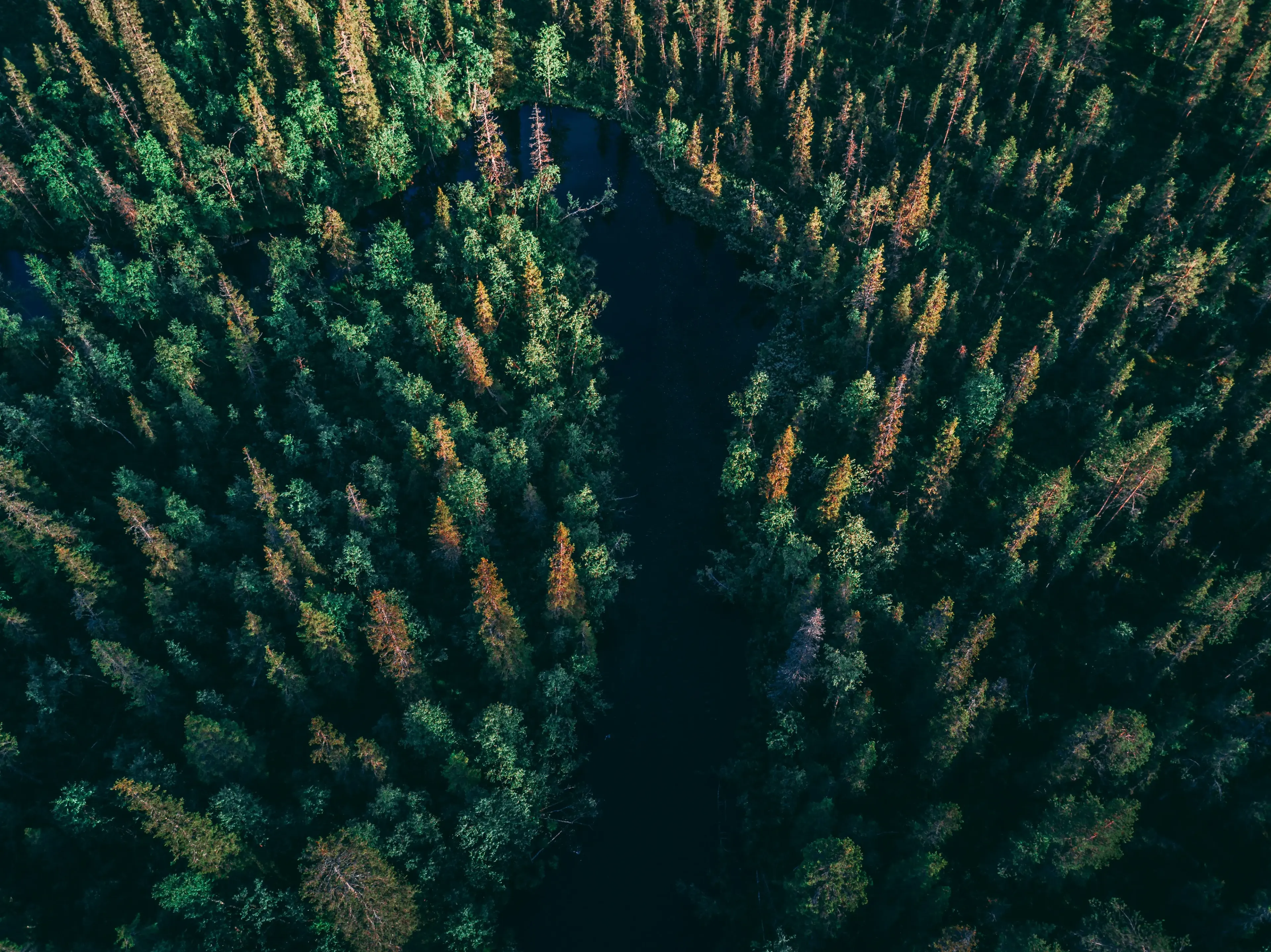 Photo by <a href="https://unsplash.com/@geraninmo?utm_content=creditCopyText&#x26;utm_medium=referral&#x26;utm_source=unsplash">Geranimo</a> on <a href="https://unsplash.com/photos/birds-eye-view-of-river-between-trees-hl7ILaqrOqI?utm_content=creditCopyText&#x26;utm_medium=referral&#x26;utm_source=unsplash">Unsplash</a> 